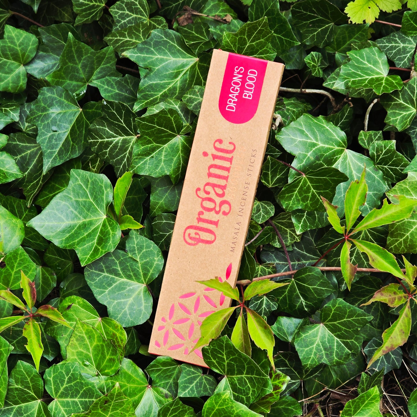 Rökelsepinnar "Dragons Blood" Song of India-Organic