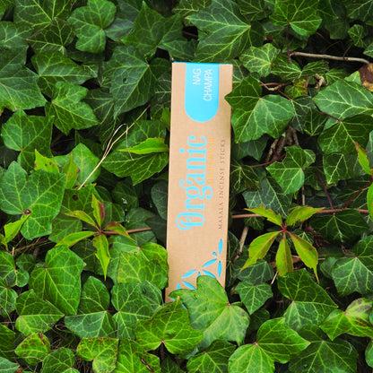 Rökelsepinnar "Nag Champa" Song of India-Organic