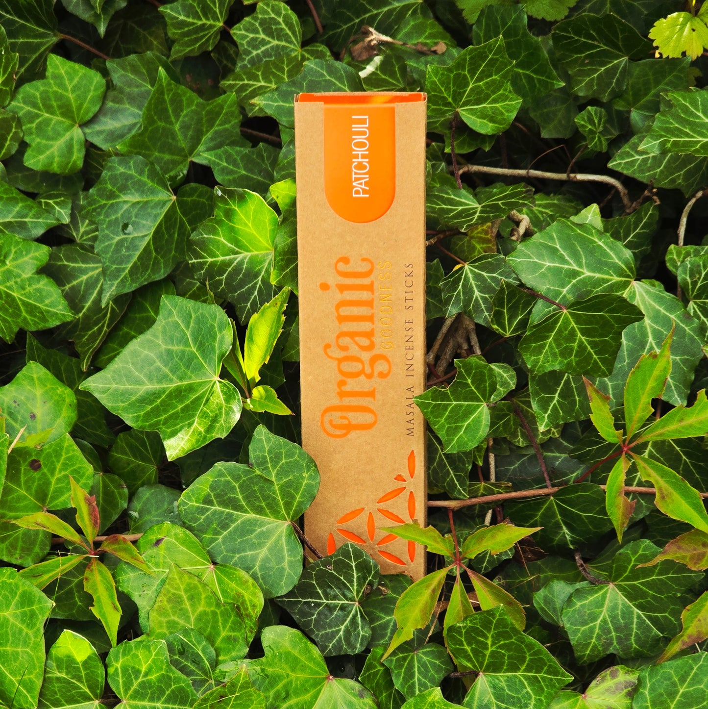 Rökelsepinnar "Patchouli" Song of India-Organic