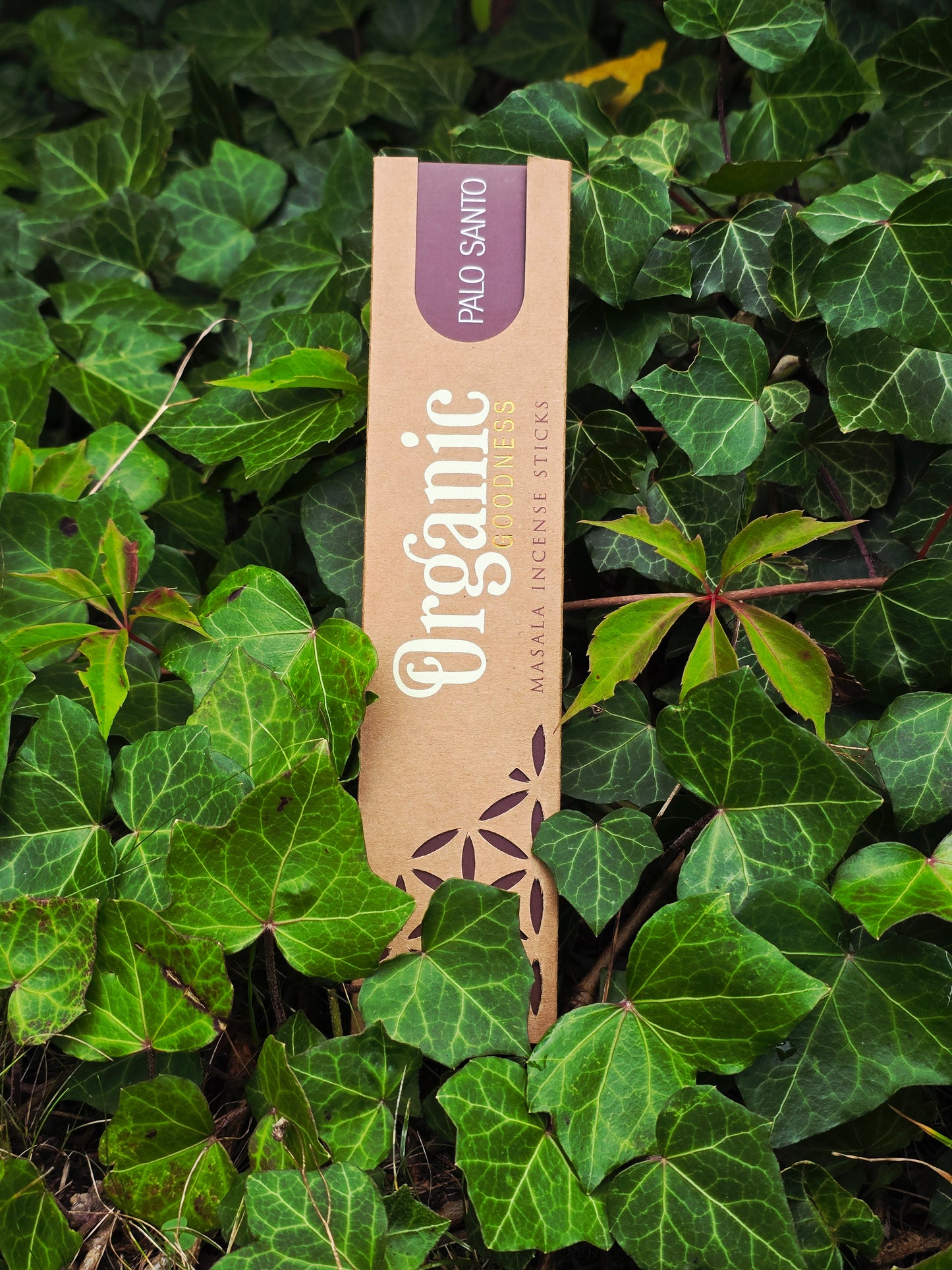 Rökelsepinnar "Palo Santo" Song of India-Organic