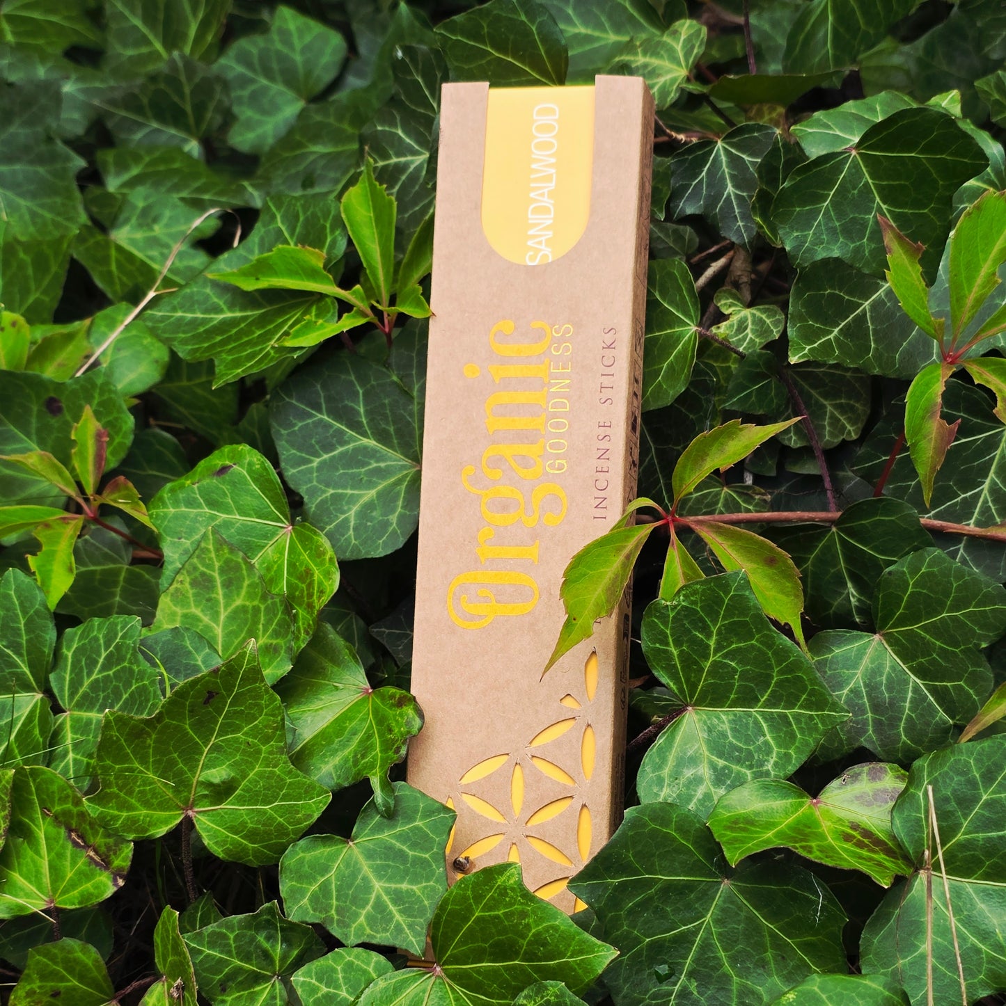 Rökelsepinnar "Sandalträ" Song of India-Organic